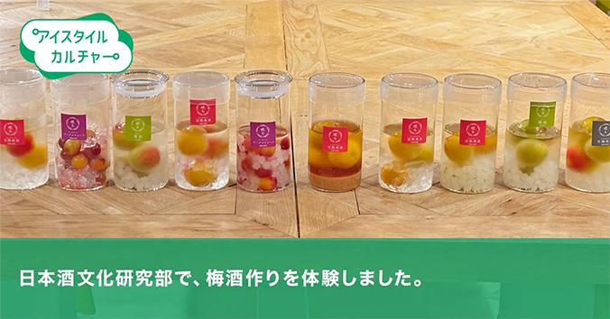 日本酒文化研究部で、梅酒作りを体験しました。