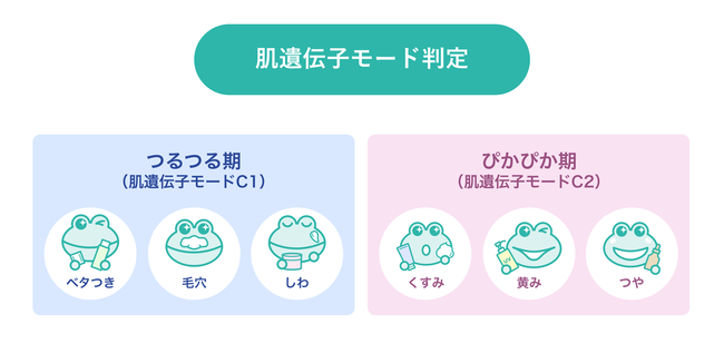 肌遺伝子モード判定.png